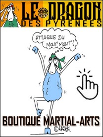 BOUTIQUE ARTS-MARTIAUX